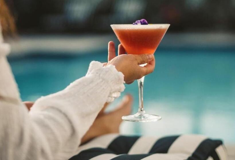 The Winchester Hotel By Newmark