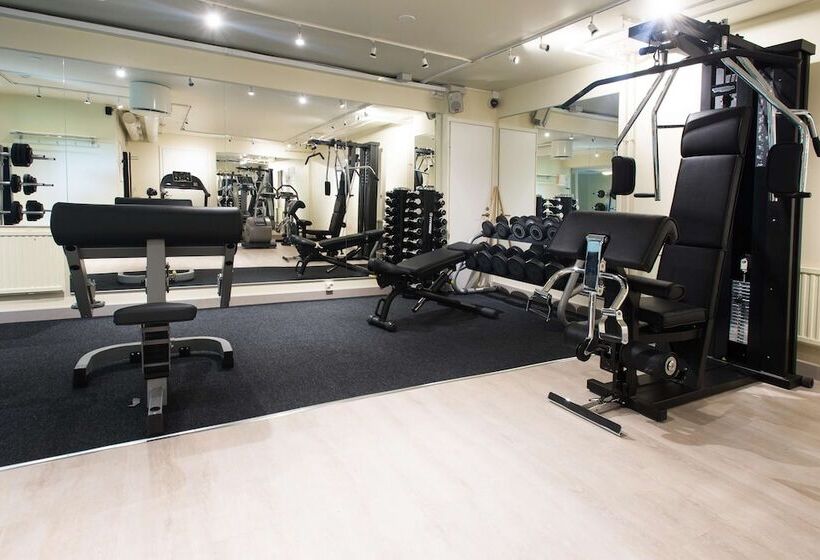 בית מלון כפרי Scandic Waskia