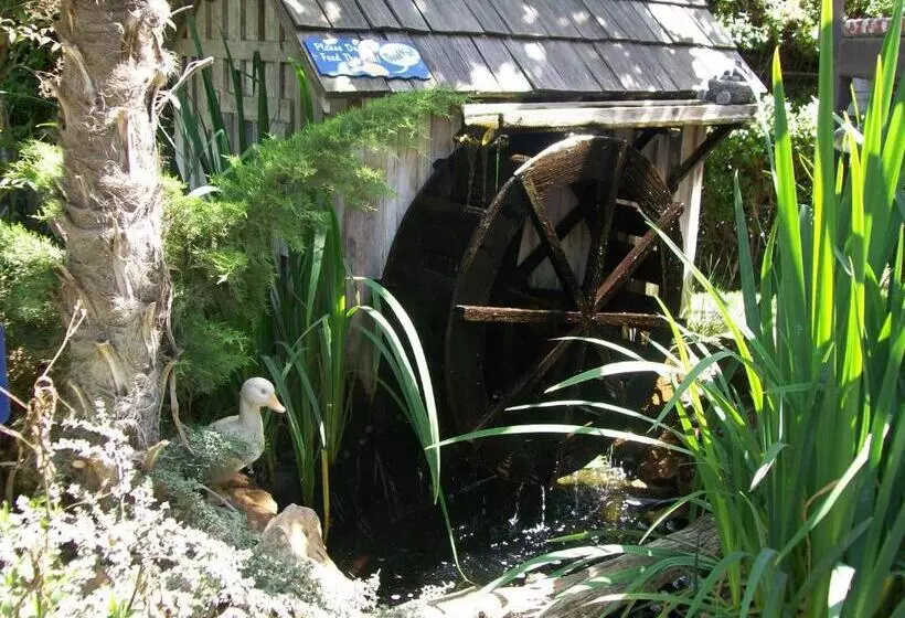 בית מלון כפרי Adelaide Inn