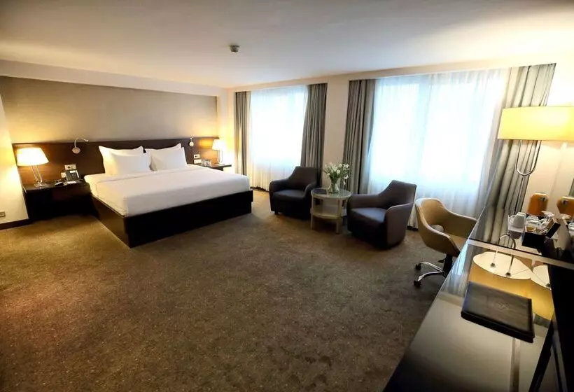 ホテル Dedeman Istanbul