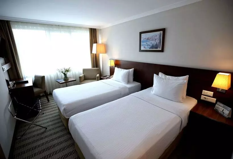 ホテル Dedeman Istanbul