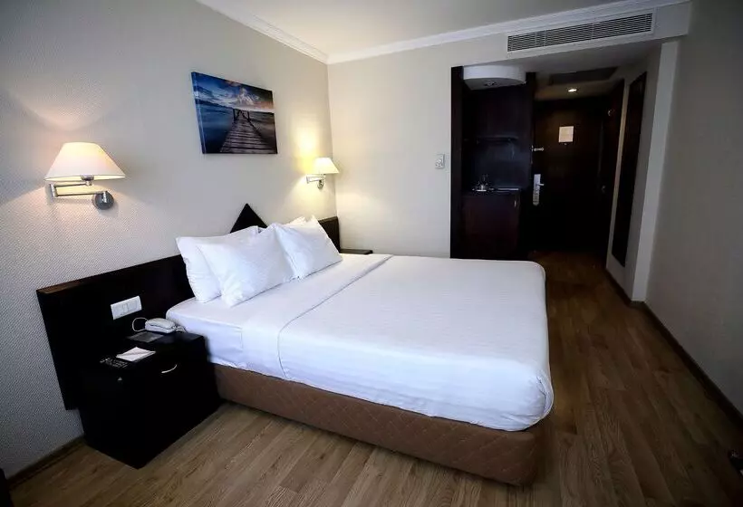 ホテル Dedeman Istanbul