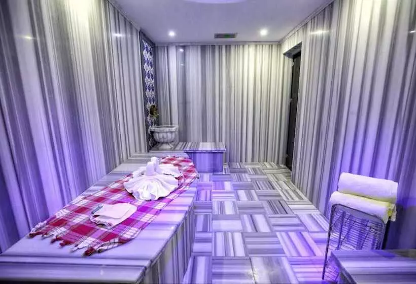 ホテル Dedeman Istanbul