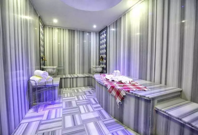 ホテル Dedeman Istanbul