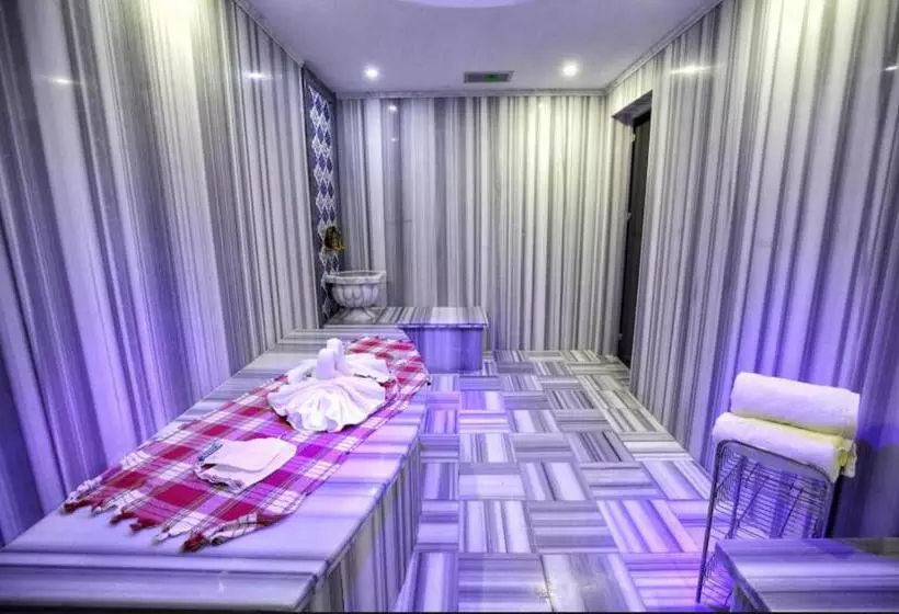 ホテル Dedeman Istanbul