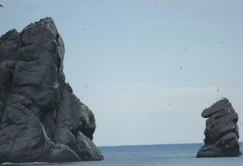 Отель Seaside Inn Morro Bay