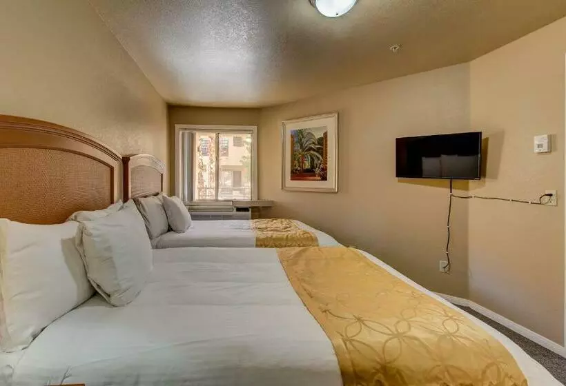 호텔 The Rita Suites