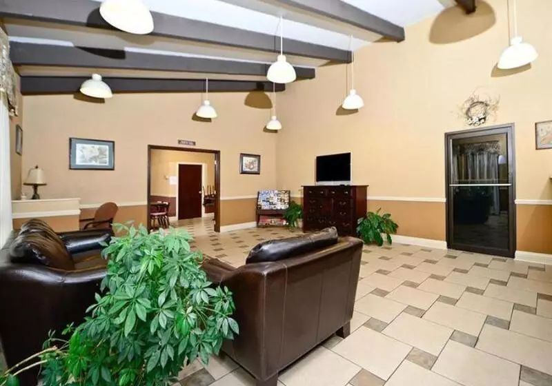 酒店 America S Best Value Inn And Suites