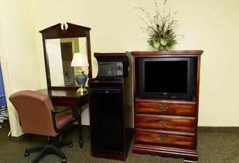 酒店 America S Best Value Inn And Suites