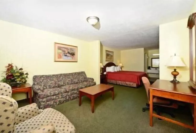 酒店 America S Best Value Inn And Suites