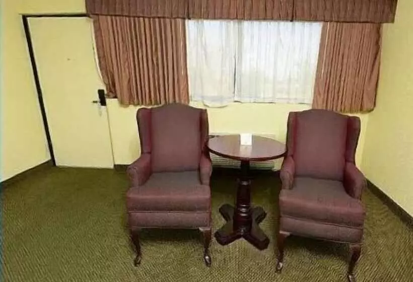 酒店 America S Best Value Inn And Suites