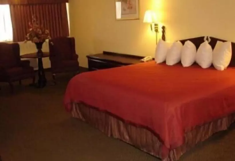 酒店 America S Best Value Inn And Suites