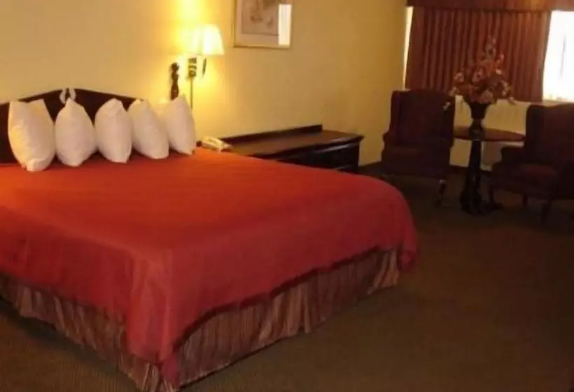 酒店 America S Best Value Inn And Suites