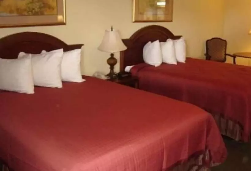 酒店 America S Best Value Inn And Suites