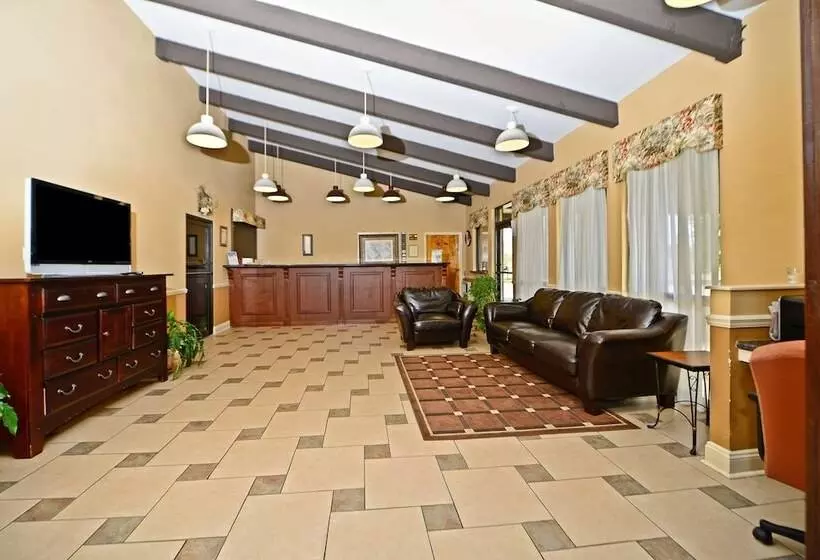 酒店 America S Best Value Inn And Suites