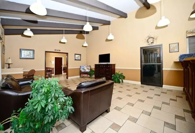 酒店 America S Best Value Inn And Suites