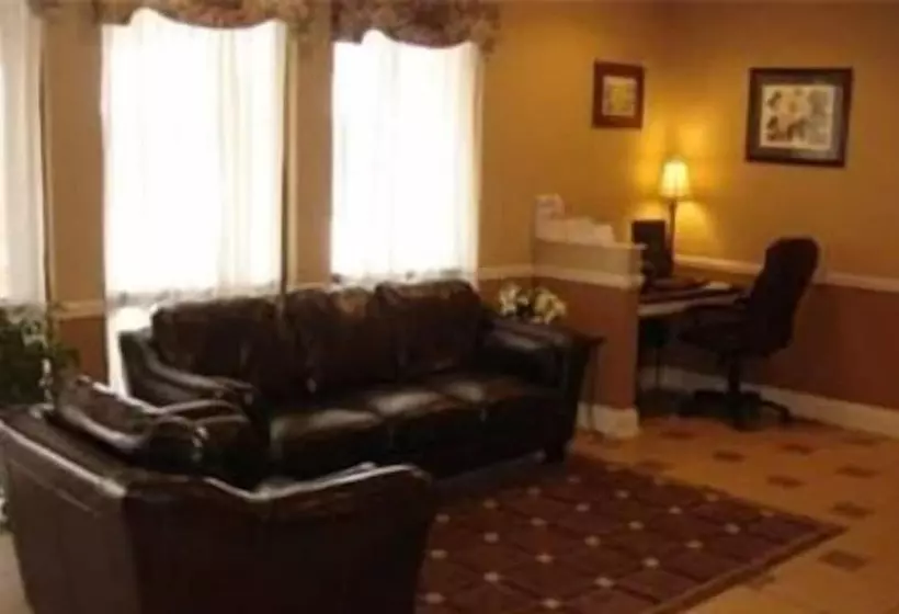 酒店 America S Best Value Inn And Suites