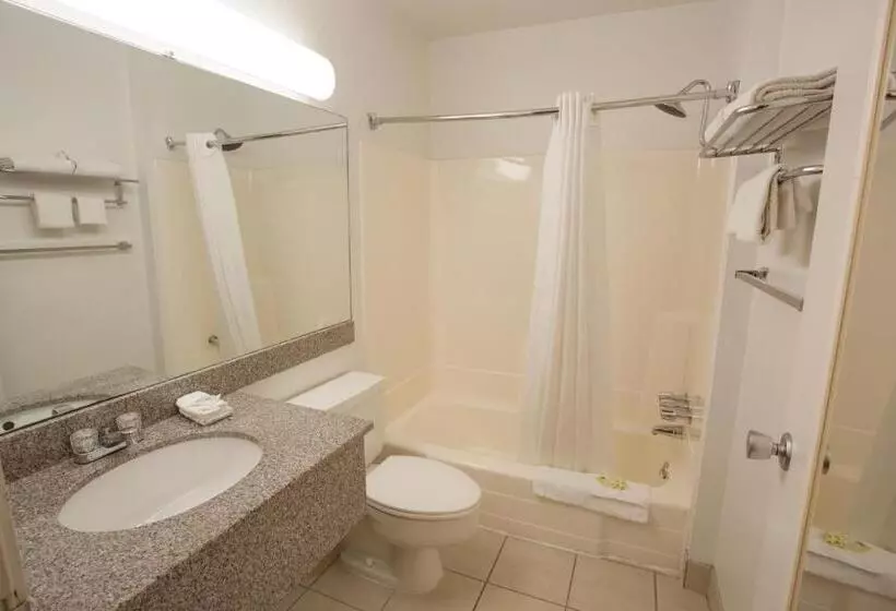 ホテル Aviation Inn