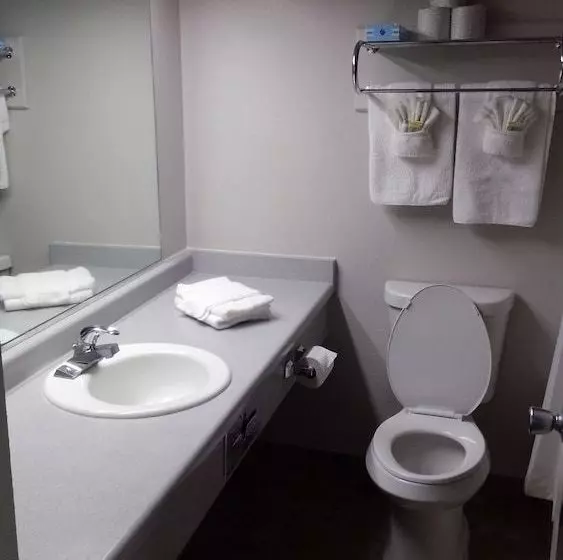 Hotel B.a.s.i.c. Lodgings