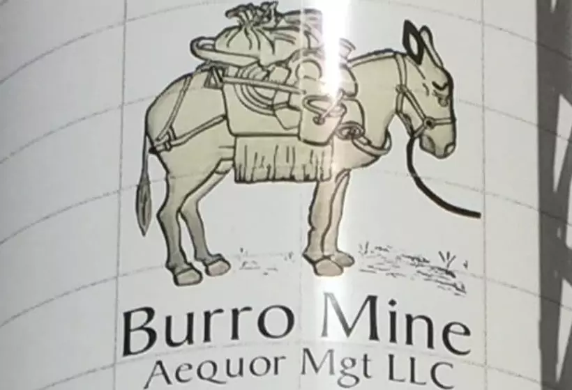 Hotel B.a.s.i.c. Lodgings