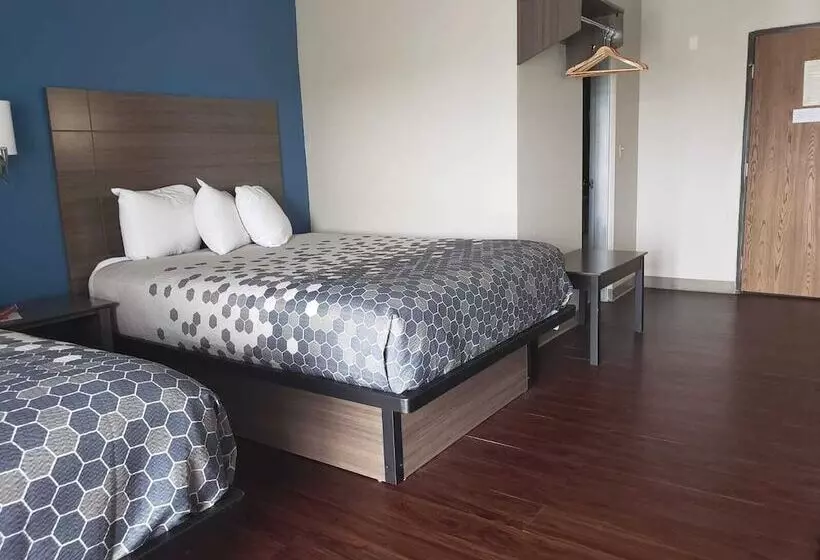 בית מלון כפרי Baymont By Wyndham Bay City