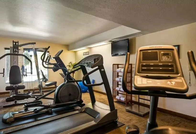 Отель Best Western Airport Inn