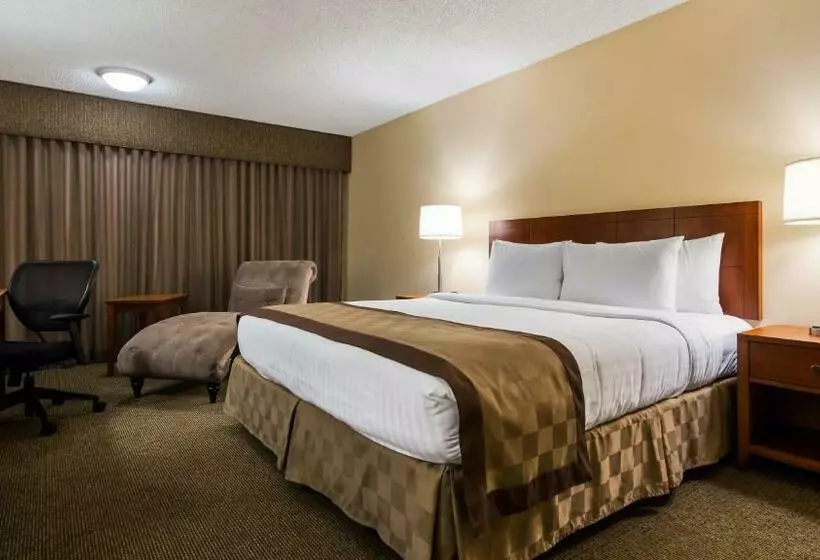 Отель Best Western Airport Inn