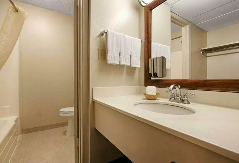 Отель Best Western Airport Inn