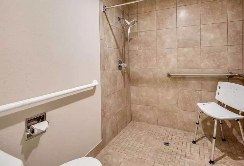 酒店 Best Western Canton Inn