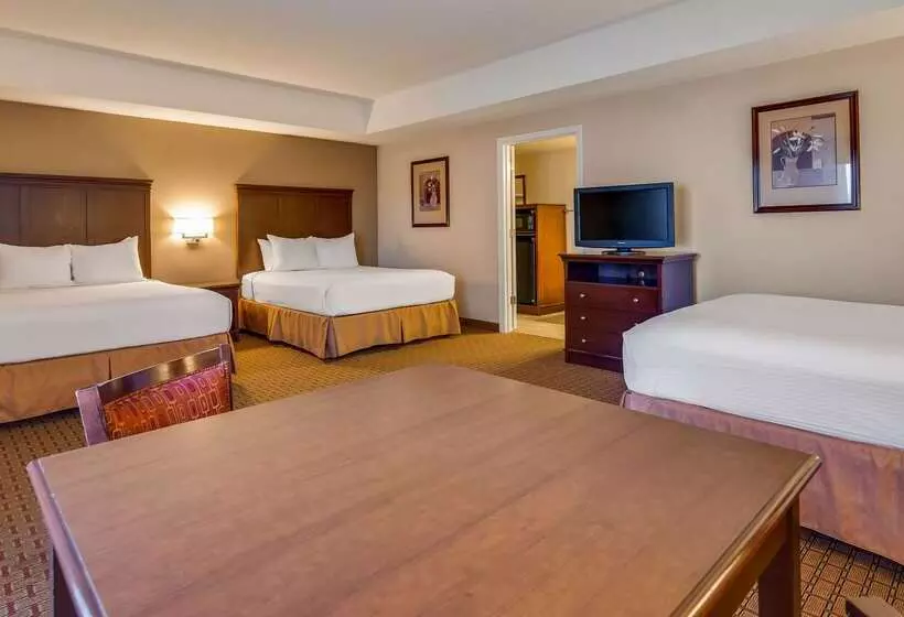 酒店 Best Western Canton Inn