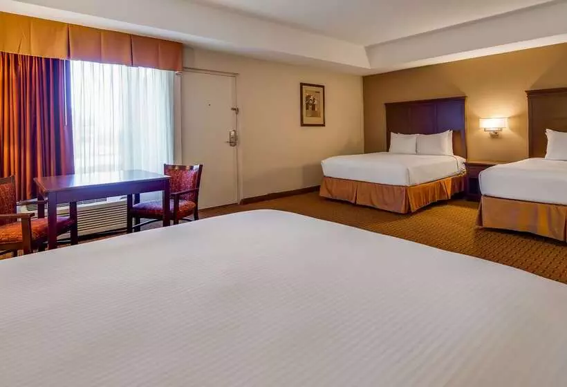 酒店 Best Western Canton Inn