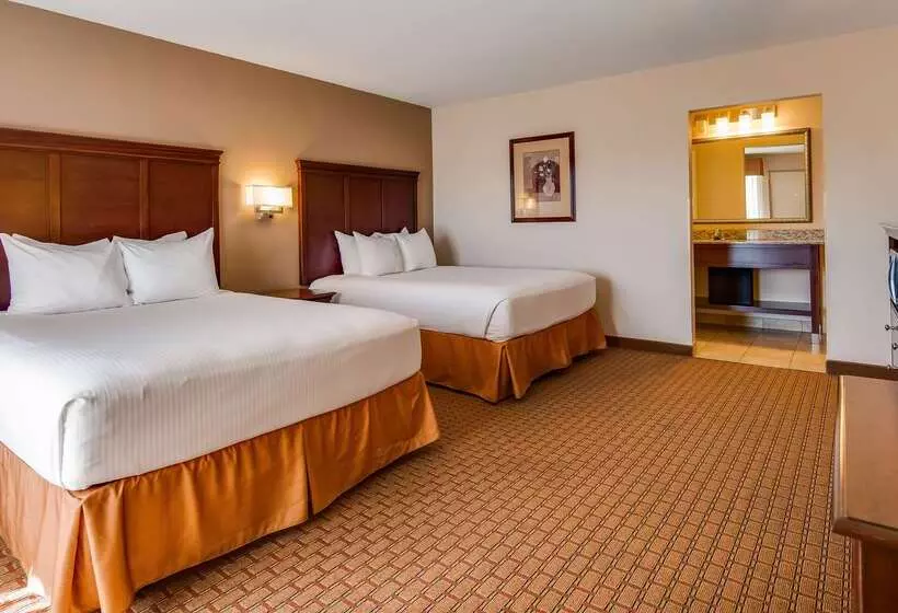 酒店 Best Western Canton Inn