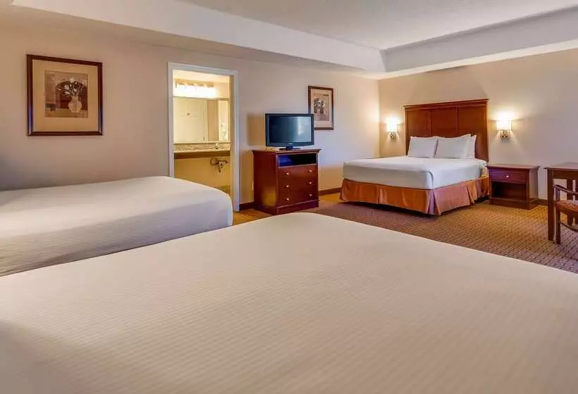 酒店 Best Western Canton Inn