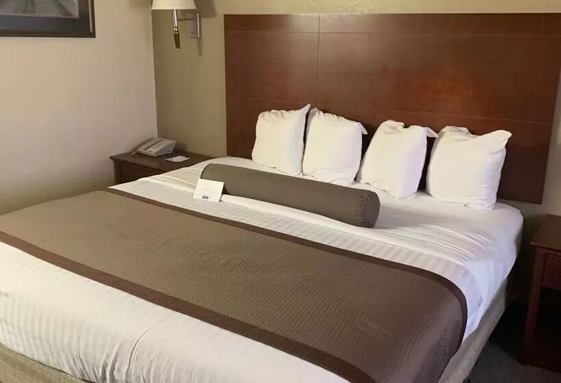 בית מלון כפרי Best Western Desert Oasis