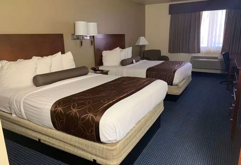 בית מלון כפרי Best Western Desert Oasis