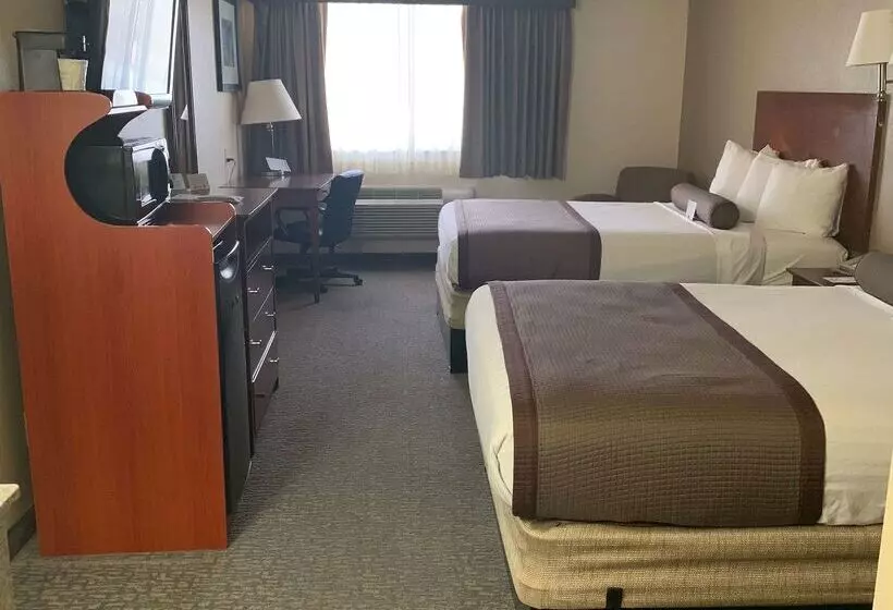 בית מלון כפרי Best Western Desert Oasis