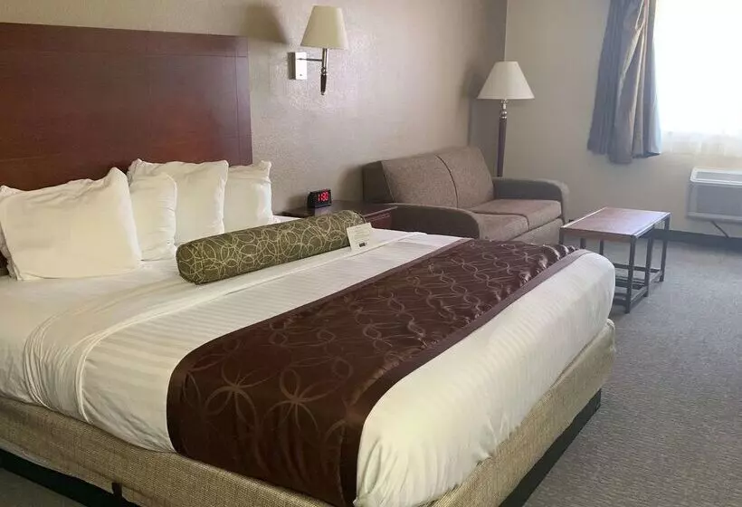 בית מלון כפרי Best Western Desert Oasis