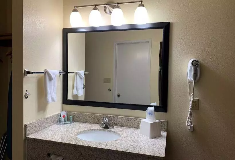 בית מלון כפרי Best Western Desert Oasis