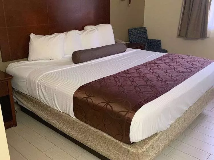 בית מלון כפרי Best Western Desert Oasis