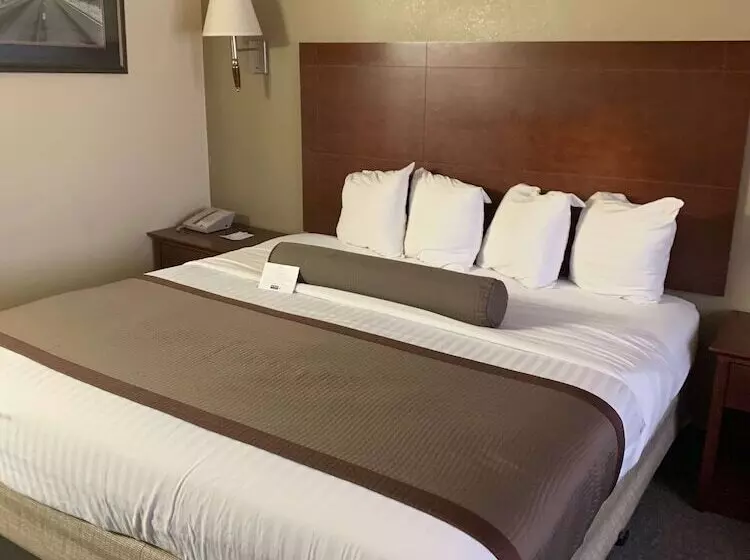 בית מלון כפרי Best Western Desert Oasis