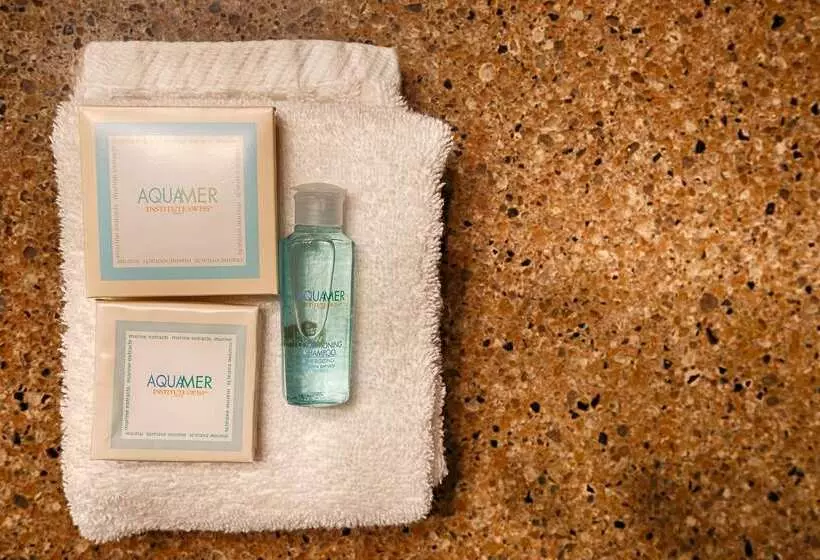 酒店 Best Western Discovery Inn