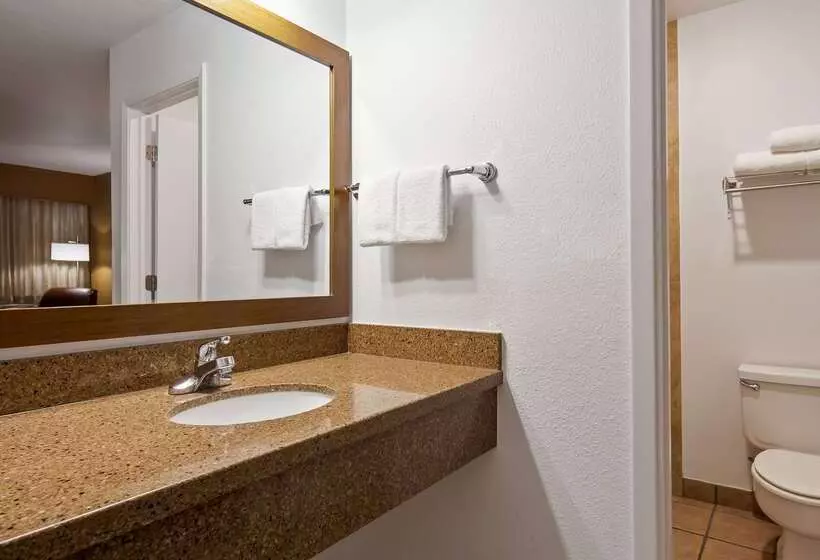 酒店 Best Western Discovery Inn