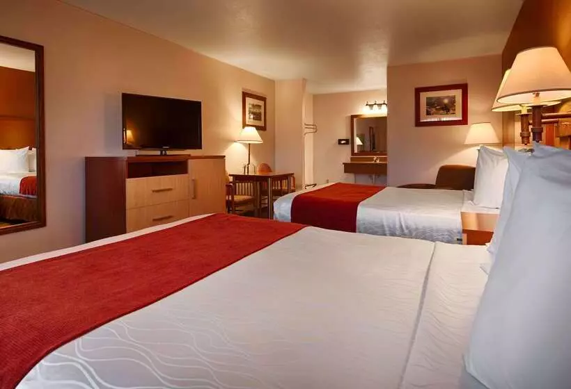 酒店 Best Western Discovery Inn