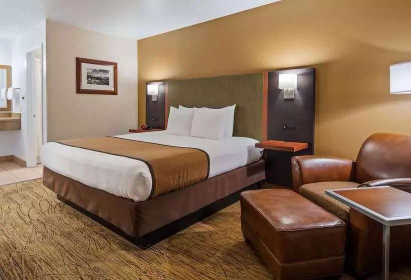 酒店 Best Western Discovery Inn