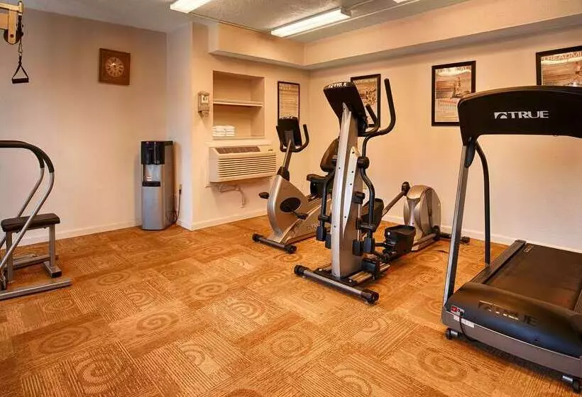 酒店 Best Western Discovery Inn