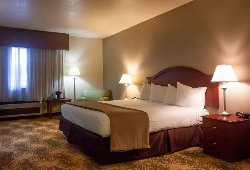 酒店 Best Western Elko Inn