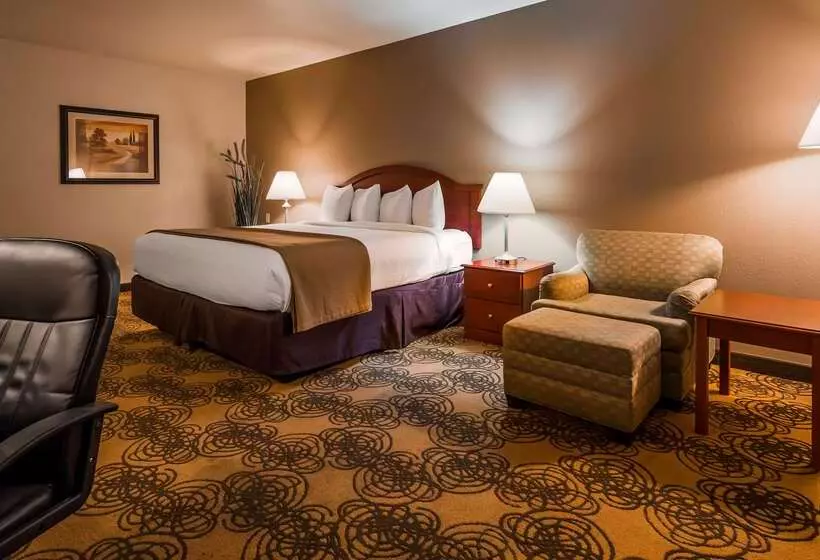 酒店 Best Western Elko Inn