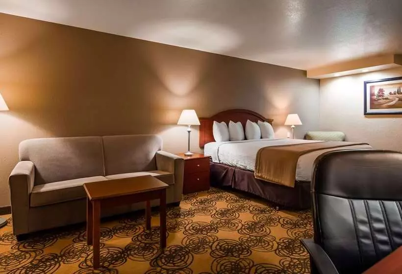 酒店 Best Western Elko Inn