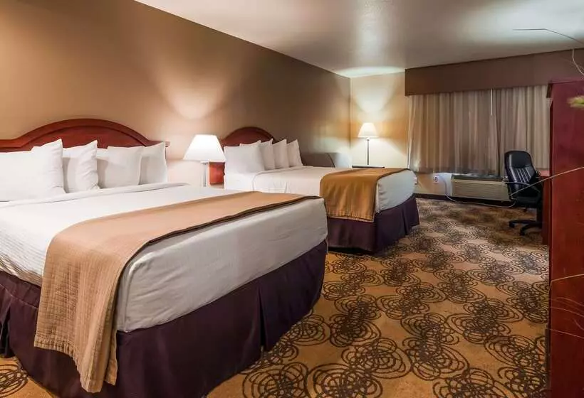 酒店 Best Western Elko Inn