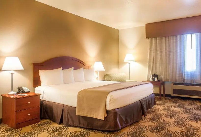 酒店 Best Western Elko Inn